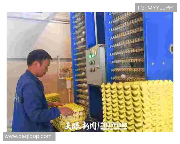 足球球星转行养鸡揭秘背后的商业模式与乡村振兴之路